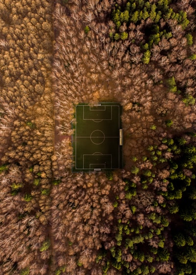 أشاد فليك وكيميش ببنية قطر التحتية واستعداداتها لبطولة كأس العالم للأندية